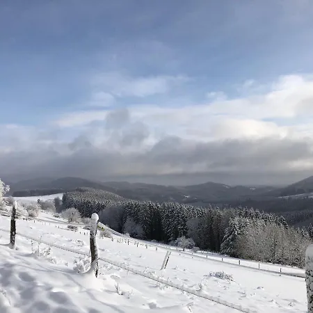 Holiday home Fennies Huette Medebach