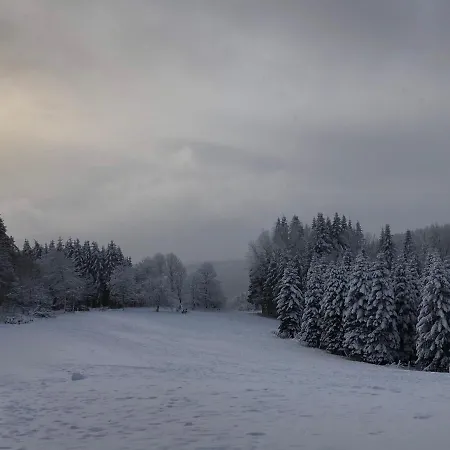 Ferienhaus Fennies Hütte *