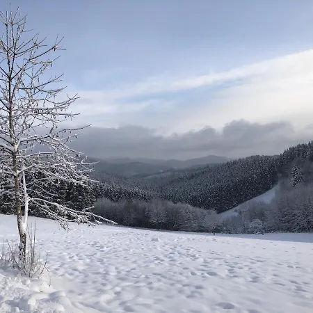 Fennies Hütte Ferienhaus