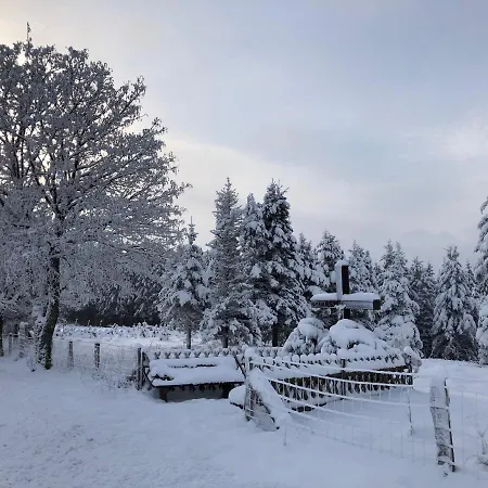 Fennies Hütte Ferienhaus
