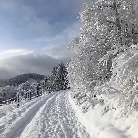 Fennies Huette Holiday home