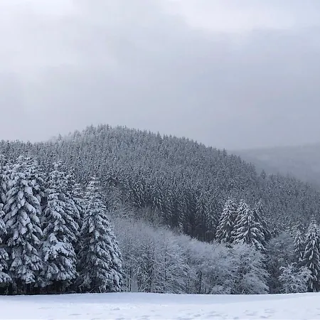 Fennies Huette Holiday home Medebach