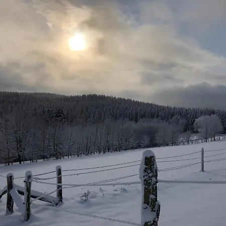 Fennies Huette Holiday home Medebach