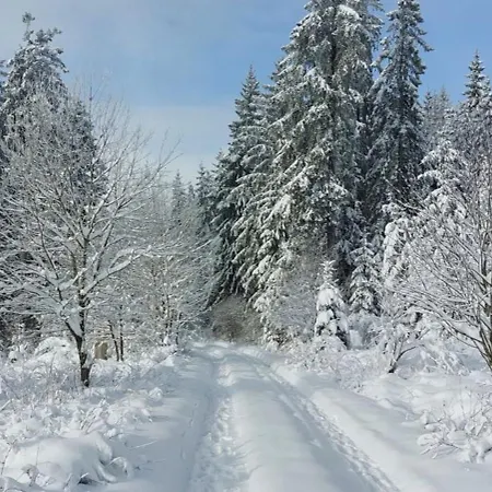 Holiday home Fennies Huette Medebach