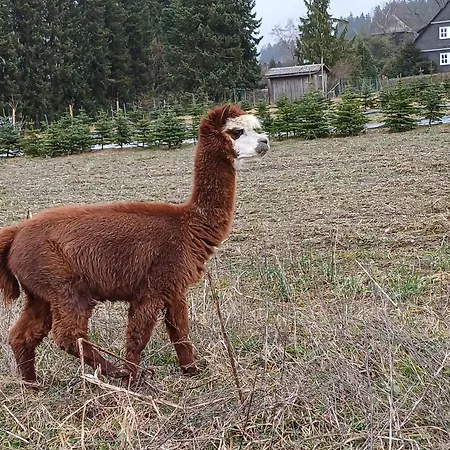 Holiday home Fennies Huette Medebach