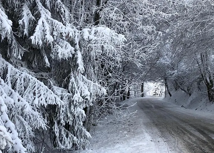 Fennies Huette * Medebach