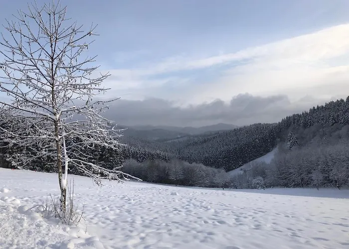 Fennies Huette بيت للعطل