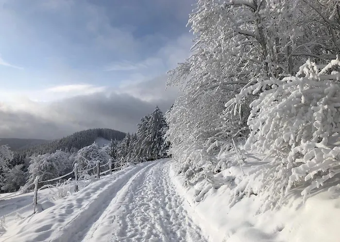 Fennies Huette Vakantiehuis