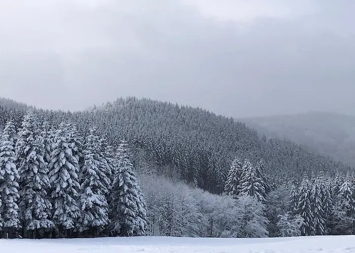 Fennies Huette بيت للعطل ميدهباخ