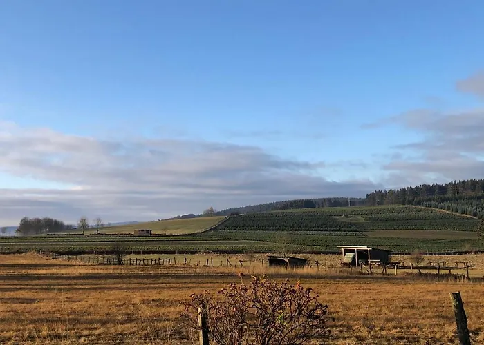 Fennies Huette * ميدهباخ