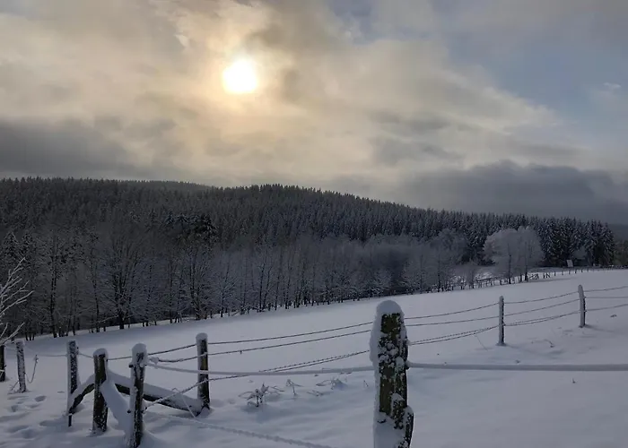 Fennies Huette بيت للعطل ميدهباخ