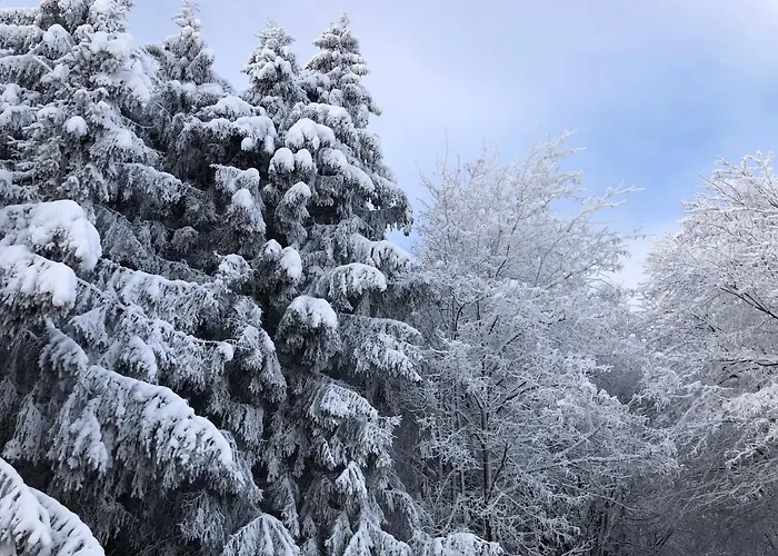 Tatil Evi Fennies Huette *