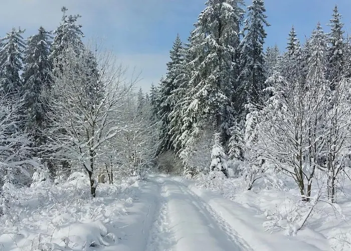 Tatil Evi Fennies Huette Medebach